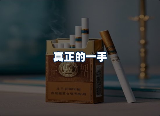 专业团队办公环境